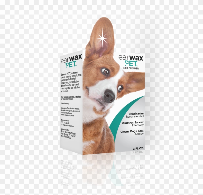 Pembroke Welsh Corgi Clipart #2002468