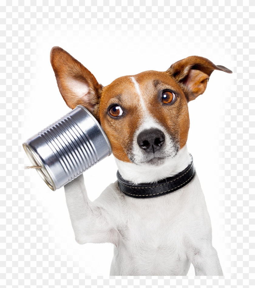 Img - Appeler Son Chien Clipart
