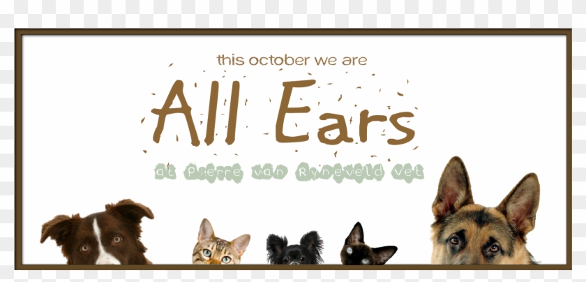 Old German Shepherd Dog Clipart #2003485