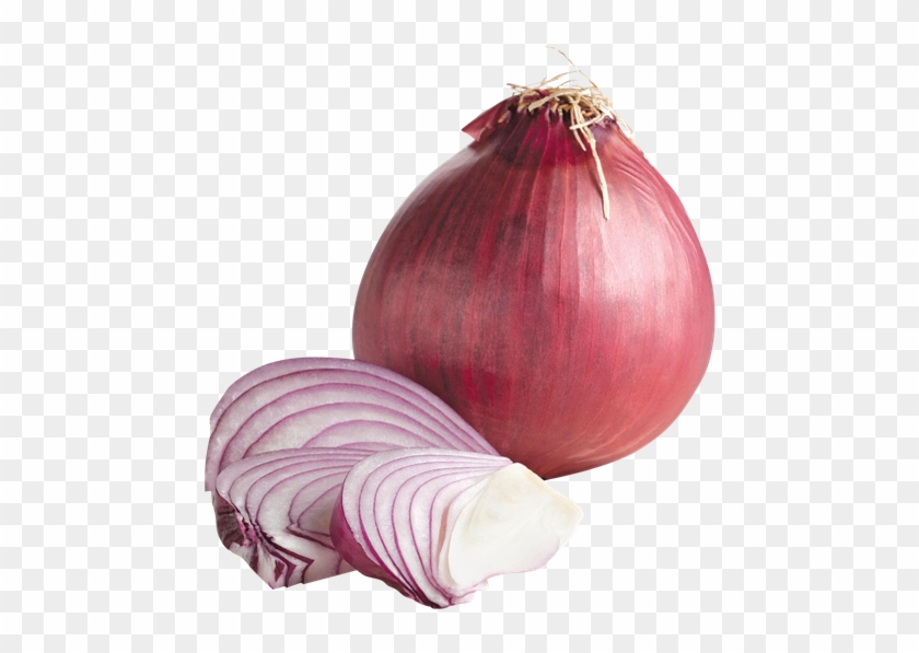 Sweet Red Onions - Red Onion Clipart