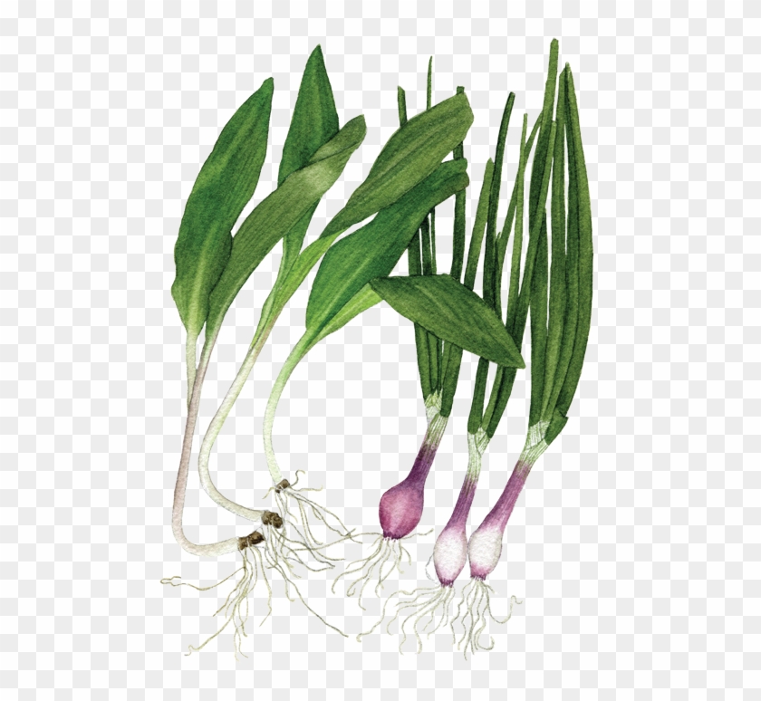 If You Want To Buy My Art Clipart #2004518