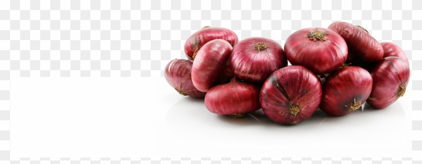 Banner Image - Red Onion Banner Clipart #2004545