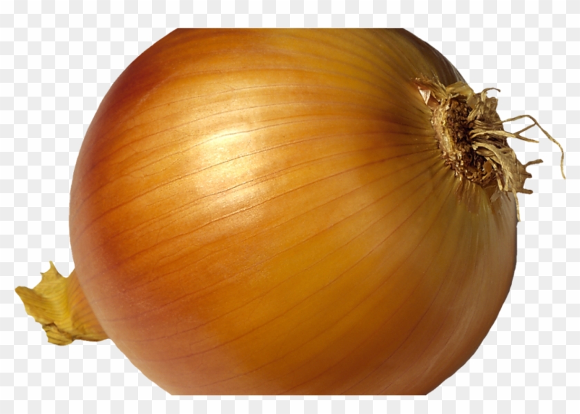 Golden Onions - Луковица Пнг Clipart #2004669