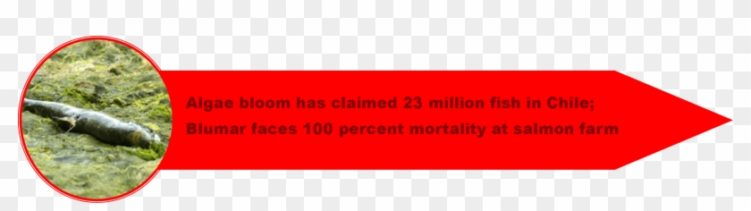 1 Chile Crisis 2 - Carmine Clipart #2006357