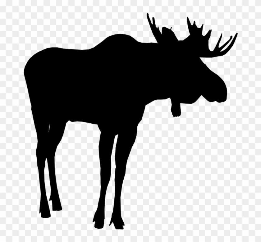 #moose #silhouette #moosesilhouette - Silhouette Clipart #2007709