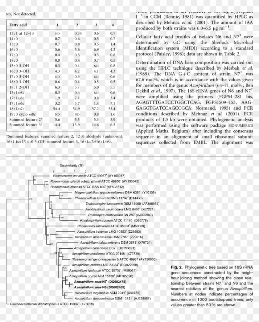 Cellular Fatty Acid Composition Of Corn Rhizosphere - Tasa De Mortalidad En Mexico Clipart #2008134