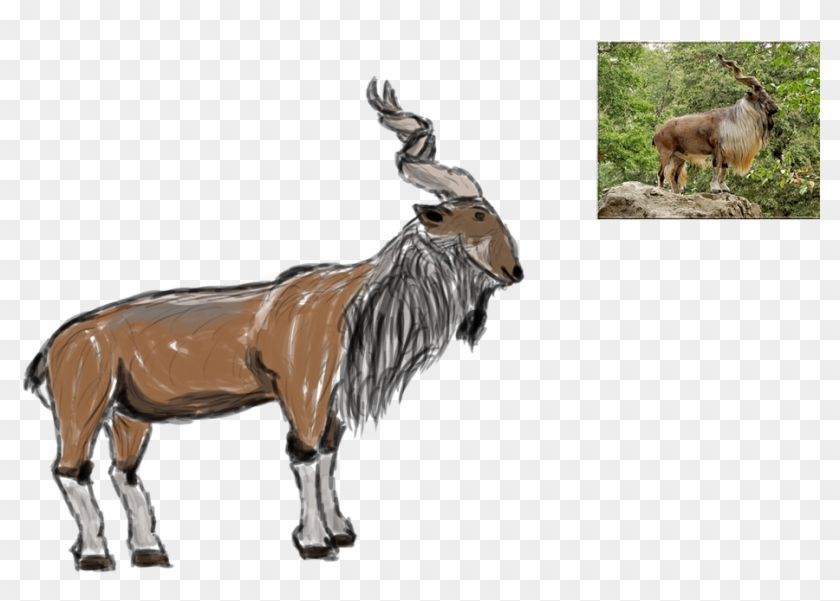 A Still Life Drawing Of A Dragon Ball Ornament Found - Mane Clipart