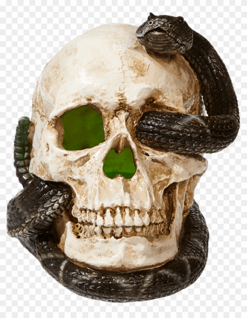 Skull With Snake Clipart