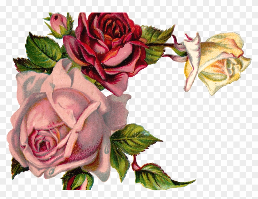 Free Digital Flower Pink Rose Corner Design Clipart #2009954
