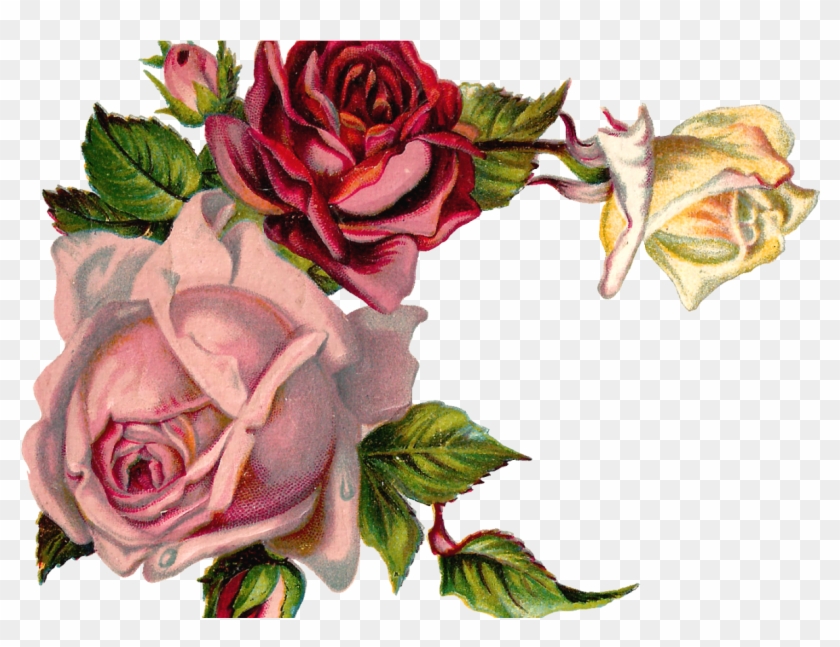 Free Digital Flower Pink Rose Corner Design Clipart