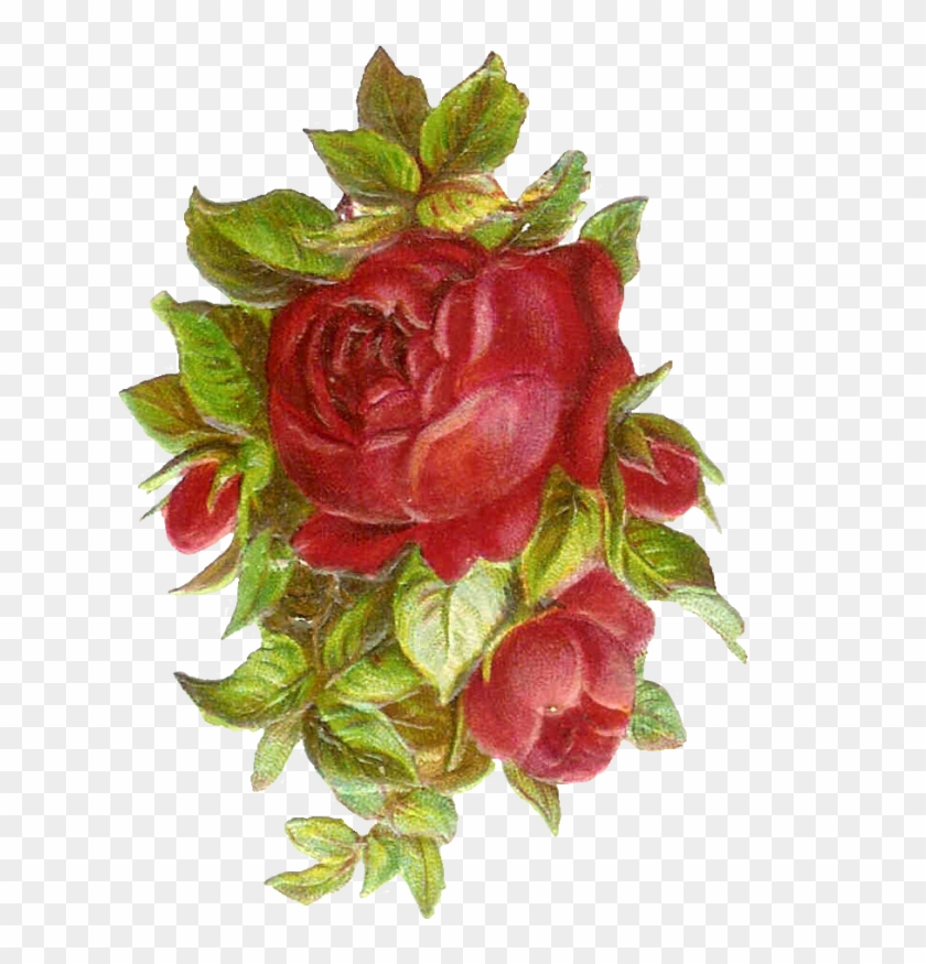Vintage Flower Png Png - Vintage Red Rose Clip Art Transparent Png #2010036