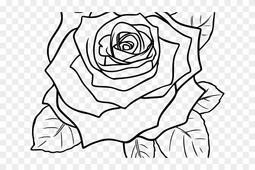 Vintage Flower Clipart Rose Plant - Rose Drawing Black And White - Png Download