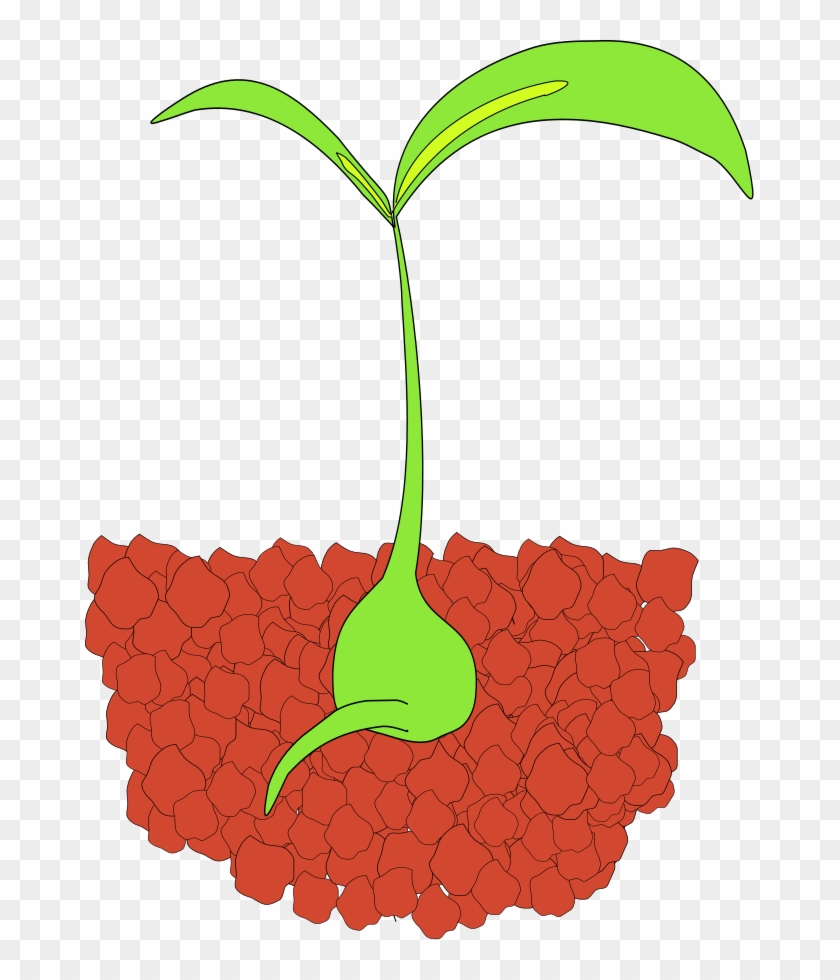 How To Set Use Seedling Svg Vector - Seedling Clip Art - Png Download