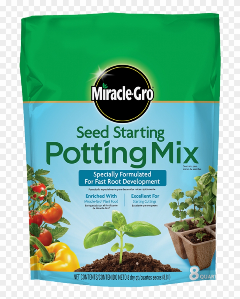 Seedling Png Clipart