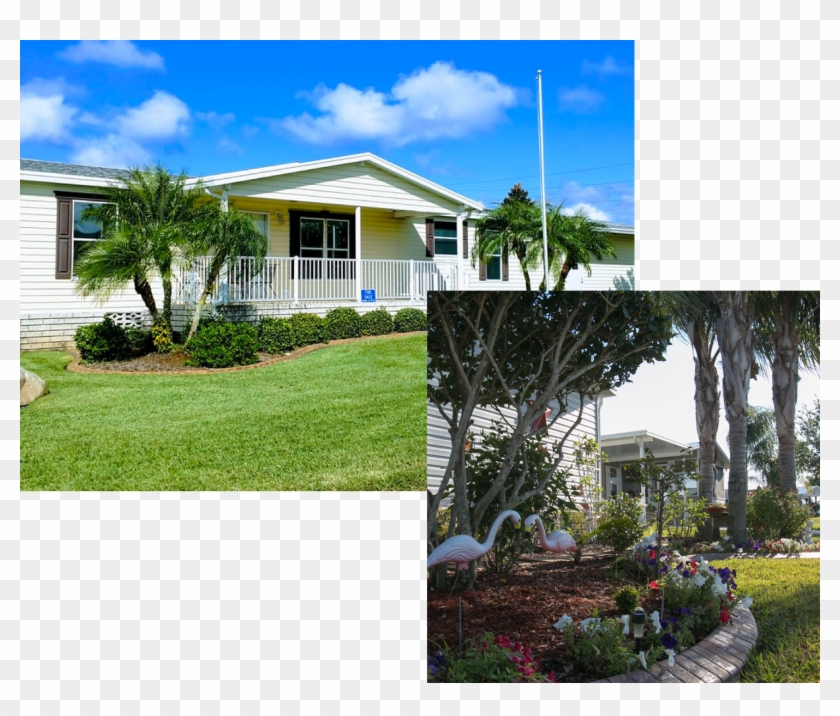 Our Spacious 590 Sites Host A Variety Of New And Pre-owned - Yard Clipart