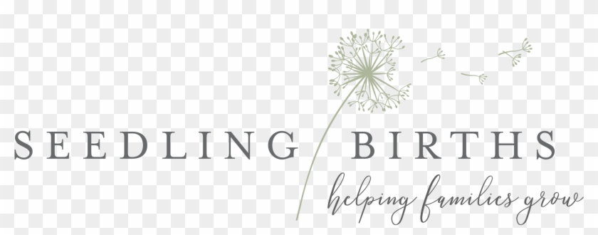 Seedling Births - Medical Tourism Clipart