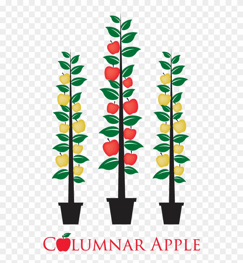 Plantnet® Png Transparent Clipart #2011477