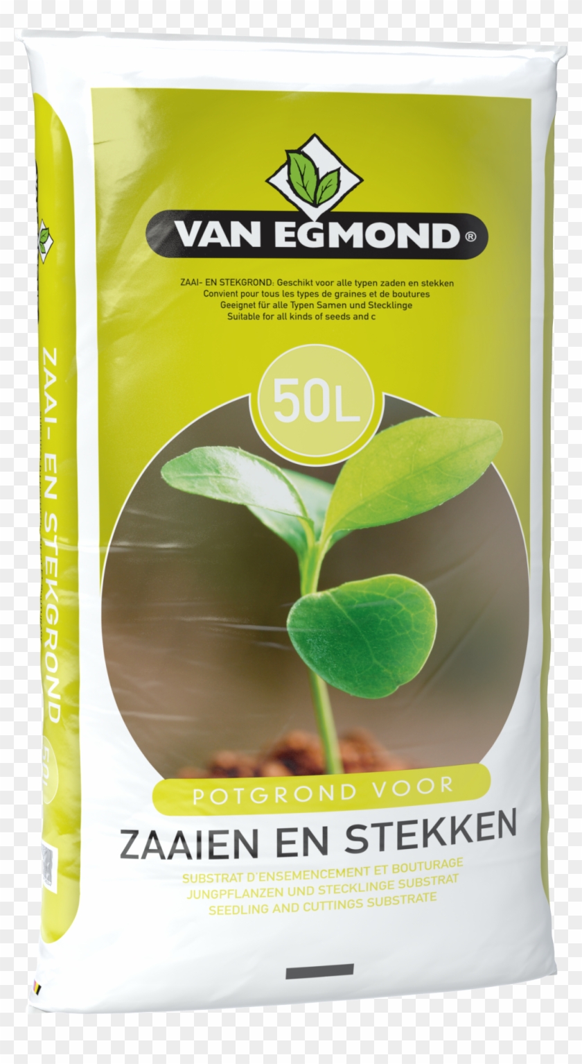 Interested - Van Egmond Potgrond Clipart #2011635