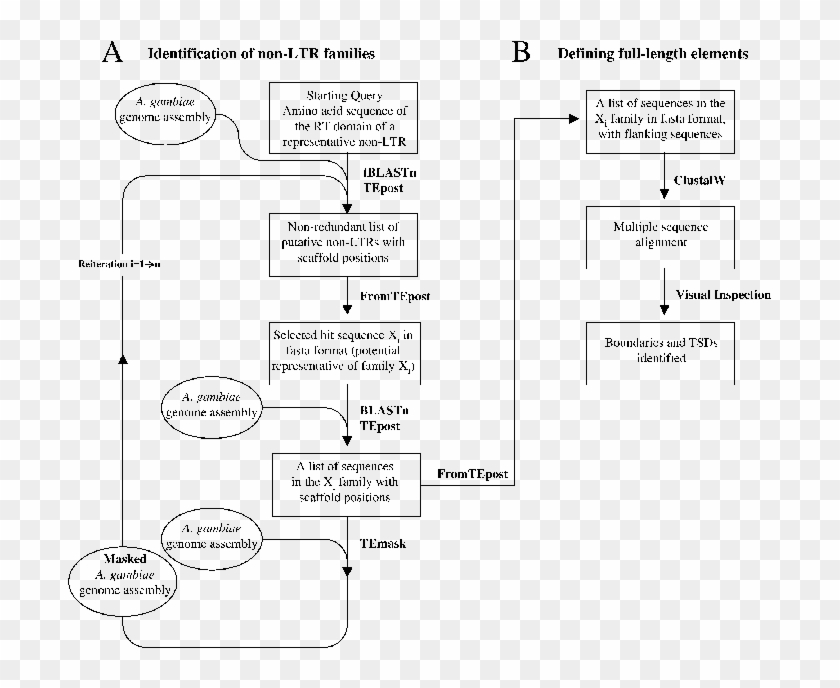 Strategy For The Identification And Characterization Clipart