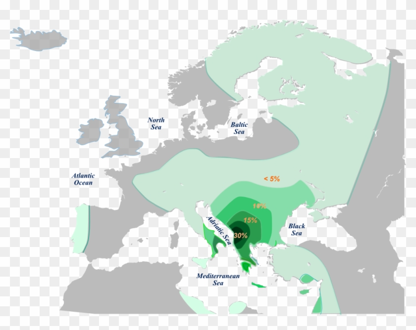 File - Hge1b1b1a2 - Albanian Genetics Clipart #2013189