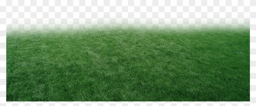 Pasto Y Estadios Png Para Walls - Lawn Clipart
