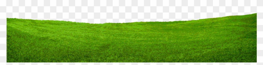 Pasto - Grass Clipart
