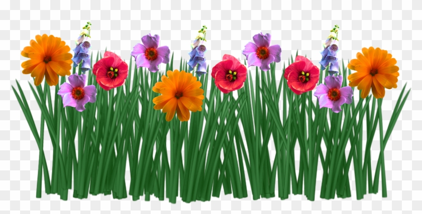 Imagen Gratis En Pixabay - Jardin De Flores Png Clipart