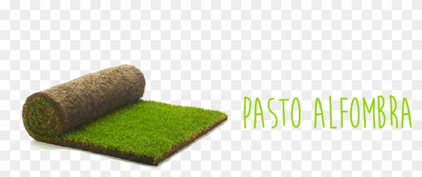 Rápido Y Fácil De Instalar - Lawn Clipart