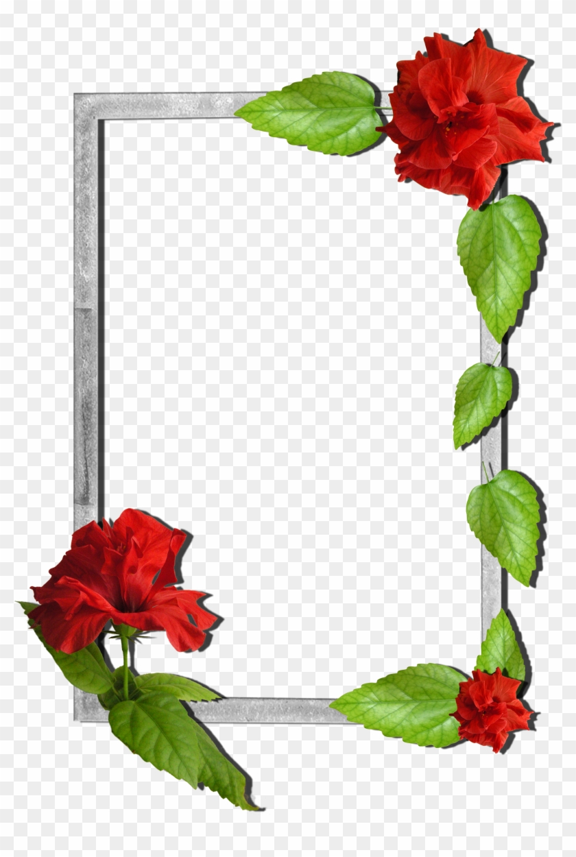 View Full Size - Flower Frames Clipart #2014215