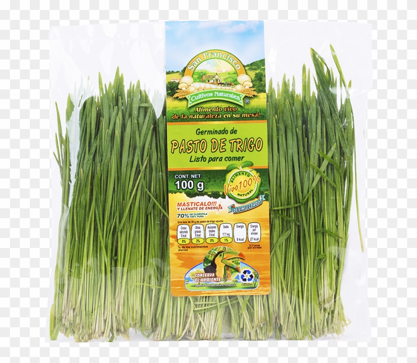 Minerales, Enzimas, Libre De Colesterol Y Con Más Contenido - Chives Clipart