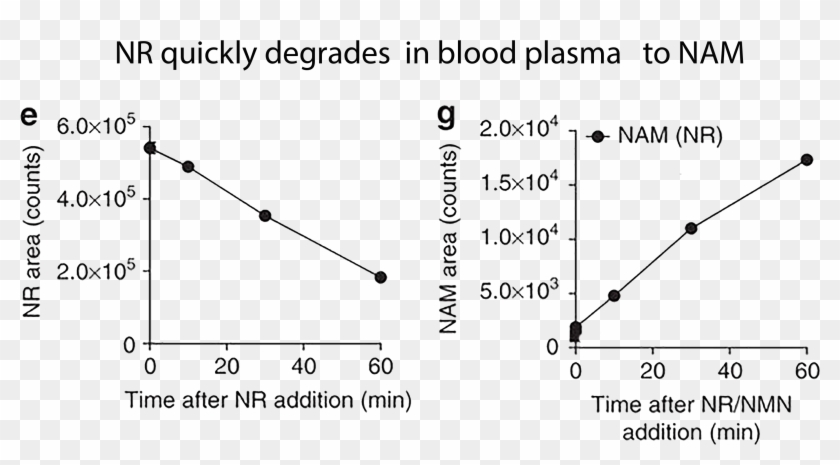 Not Stable In Bloodstream Clipart