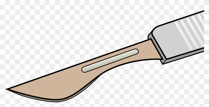 Dessin Scalpel - Dissection Clip Art - Png Download