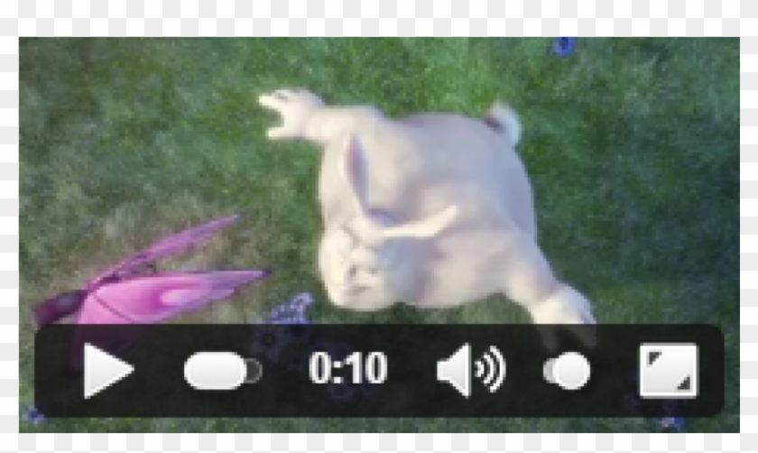 Video Players - Video Clipart