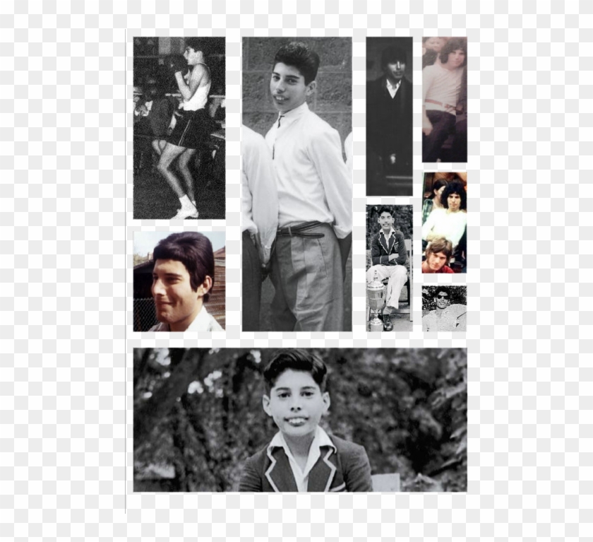 Freddie Mercury - - St Peters School Panchgani Freddie Mercury Clipart