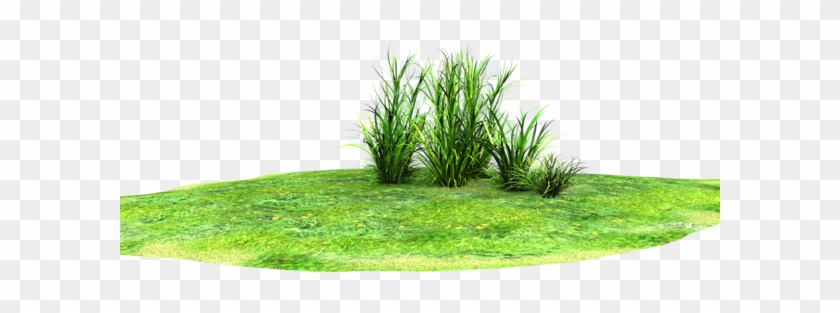 Grass Land Png - Vector Grass Land Png Clipart #2018485