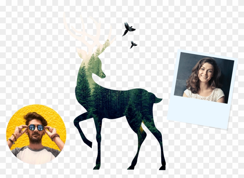 Cool Frames - Reindeer Dasher Clipart