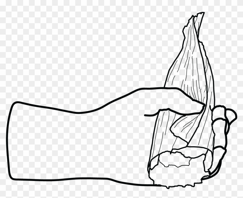 007 5 Tamales - Line Art Clipart #2020699