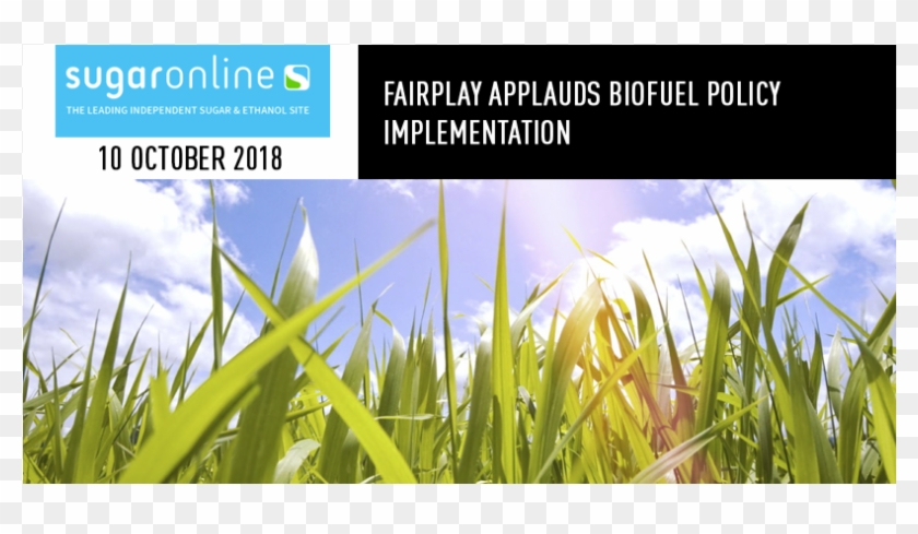 The Uncertainty Of Long-term Fossil Fuel Supplies, - Wallpaper Clipart #2020829