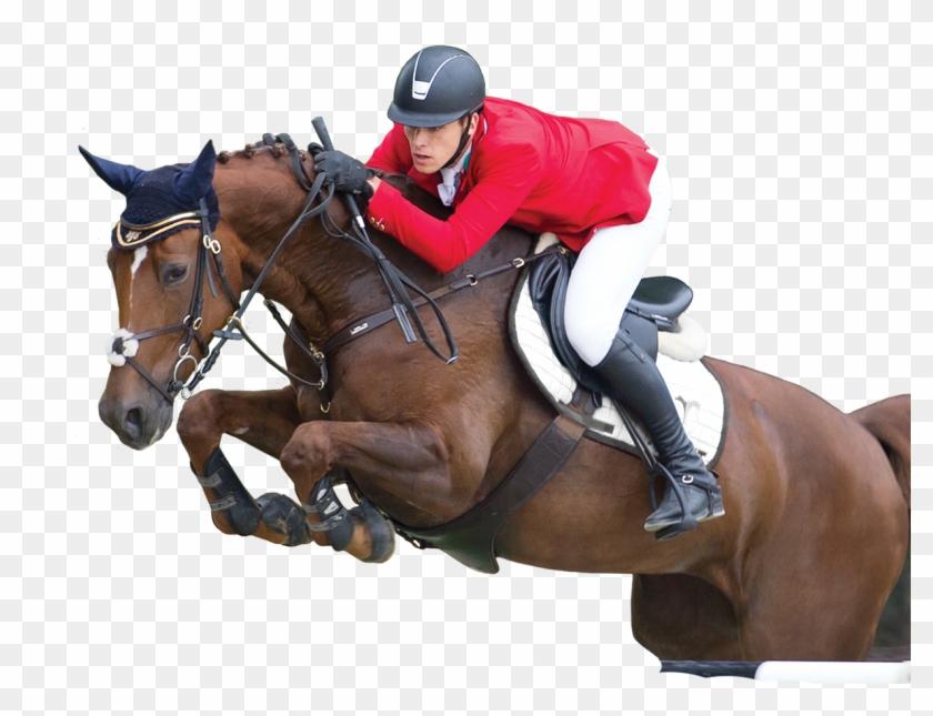 Live Show Jumping Hosted By Budapest, - Horse Jumping Transparent Clipart