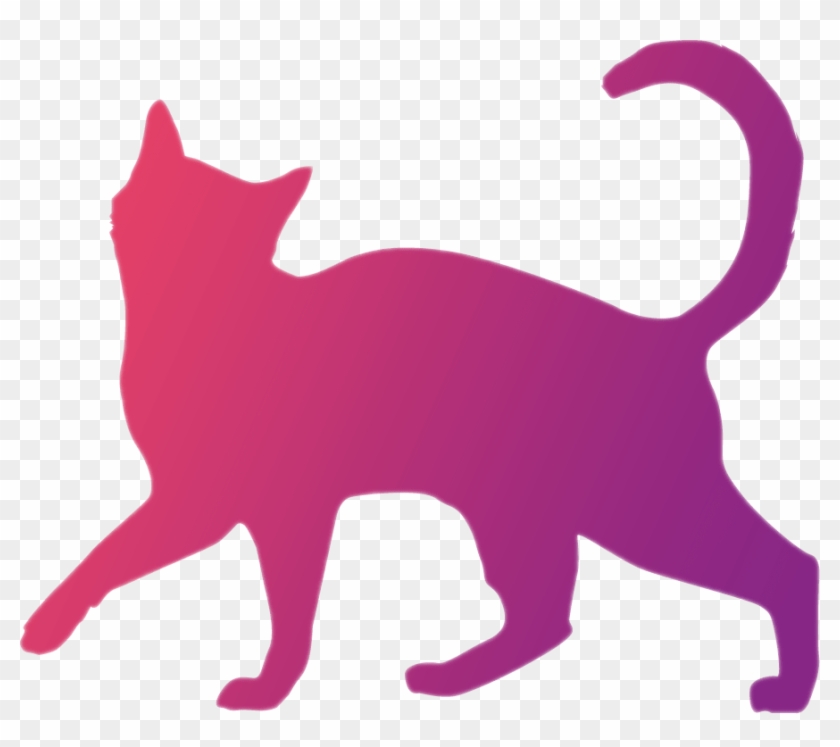 Cat Icon Min - Cat Icon Png, Transparent Png