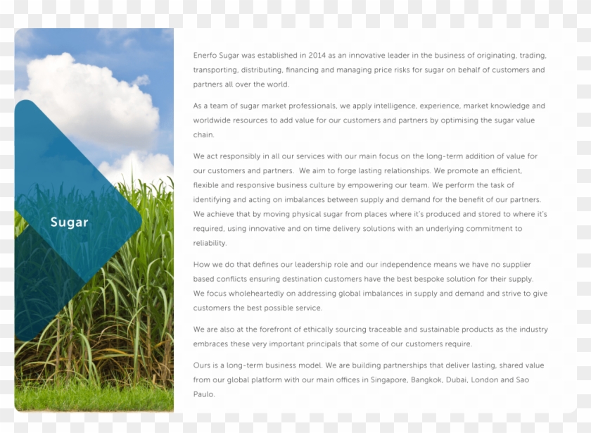 Grains & Oilseeds Clipart #2021521