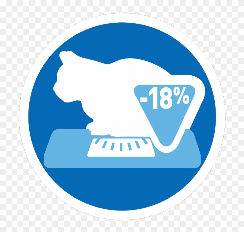 Icon-1 - Cat Clipart #2021952