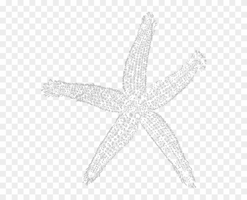 Star Fish Light Gray Png Clipart