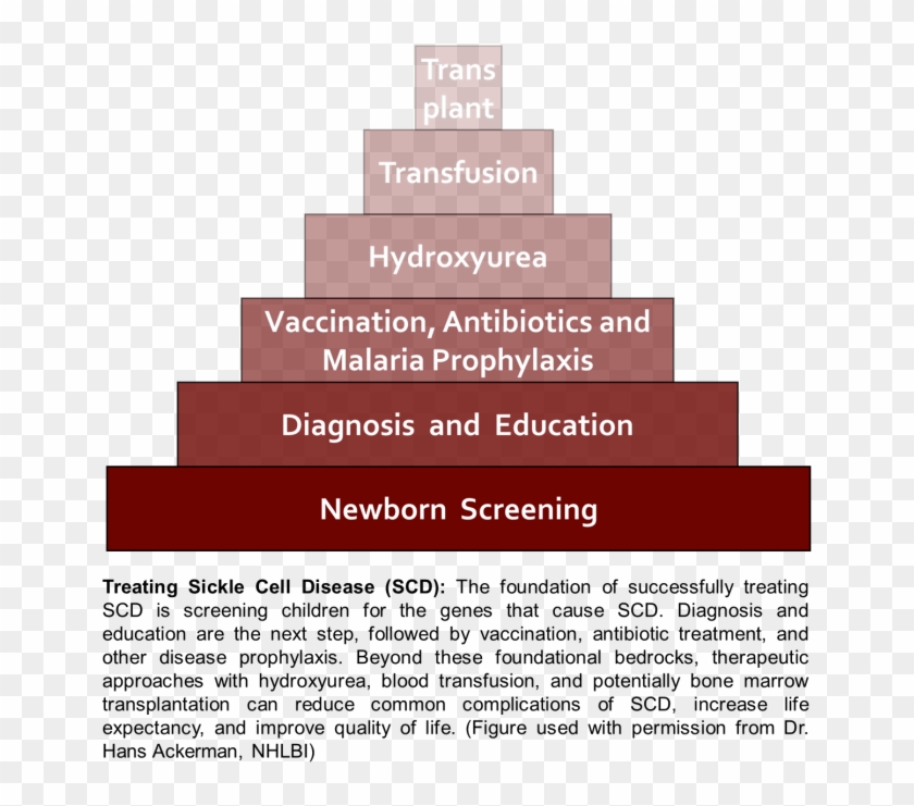Sickle Cell Disease In Sub Saharan Africa Using Science Clipart