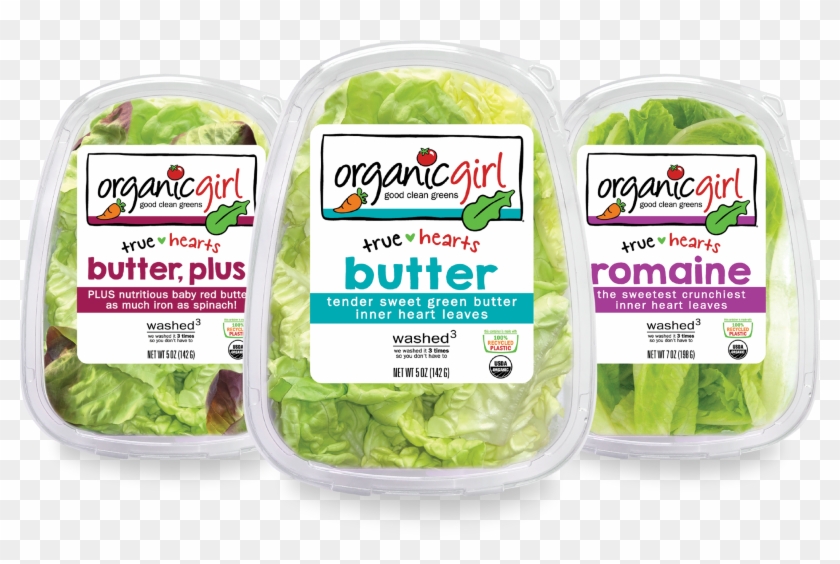 Organic Girl Butter Lettuce Clipart #2025792