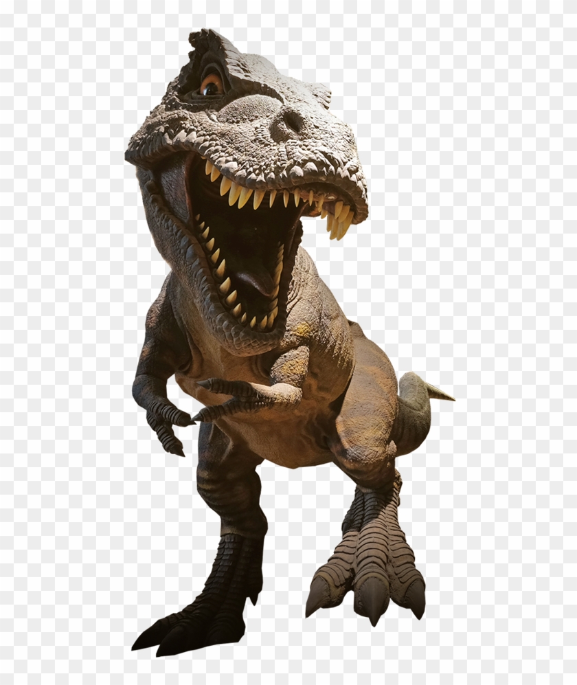T-rex - T Rex Clipart #2027305