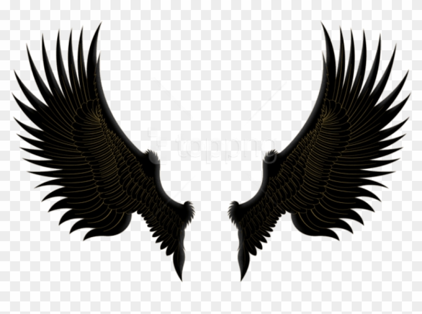 Free Png Download Black Gold Wings Clipart Png Photo - Wings Png Hd Transparent Png #2027383