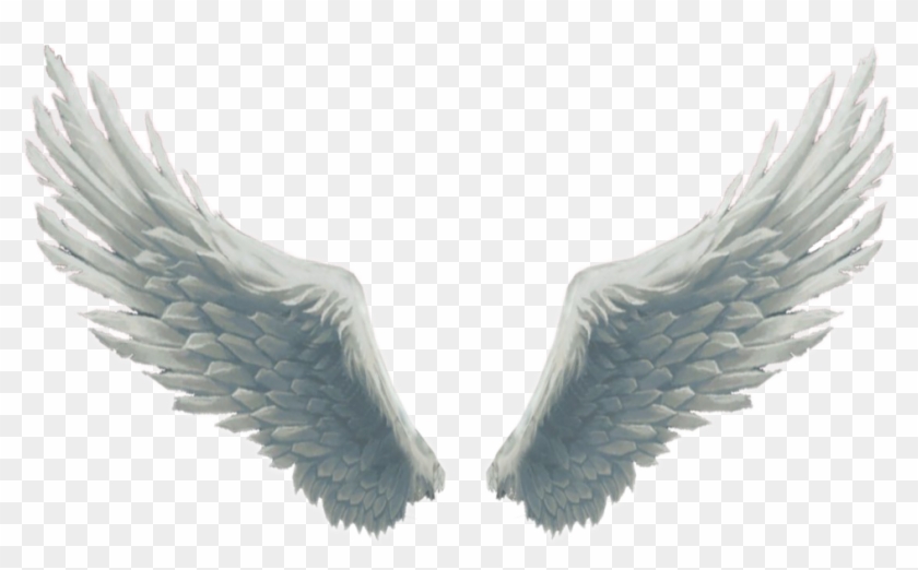 #big #beautiful #white #fluffy #wings #angelwings #angel - Angel Wings For Editing Clipart #2027655