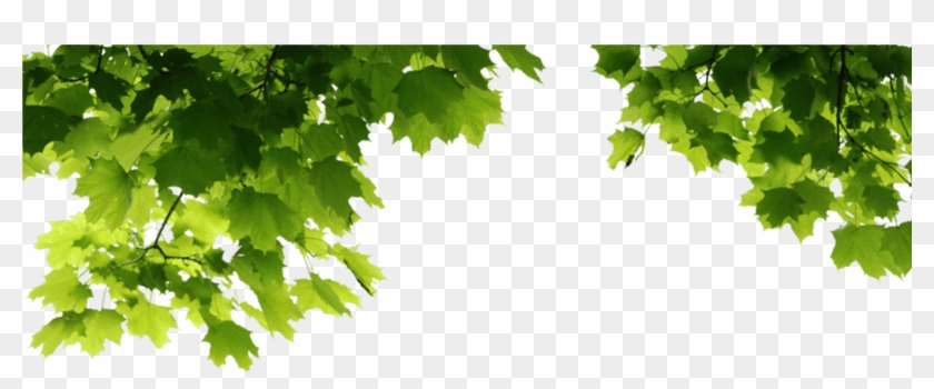 Outdoor Portrait Manipulation - Png Images For Manipulation Clipart