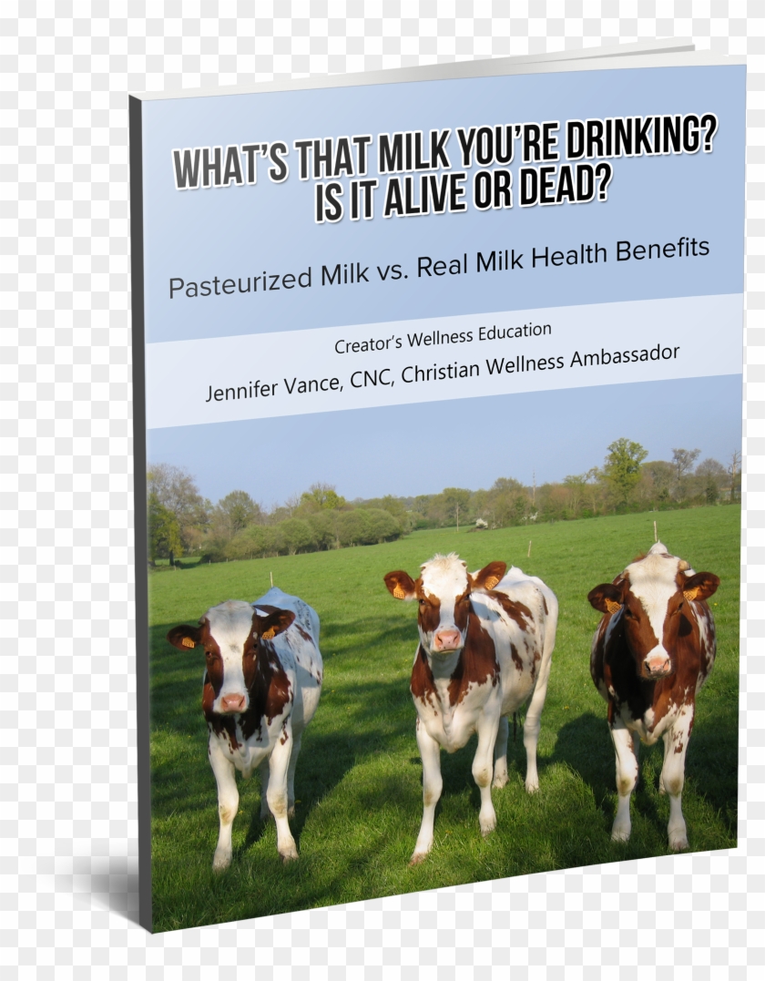 Cows , Png Download Clipart